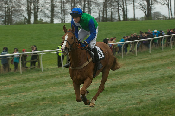 Race 4 - Novice riders 33