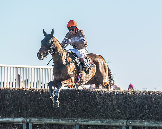Race 1 - PPORA Novice Riders Race-63