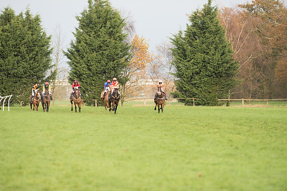 Race 5 - Open Maiden 53
