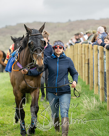 Race 2 - Six and Over Maiden  (9 of 131)