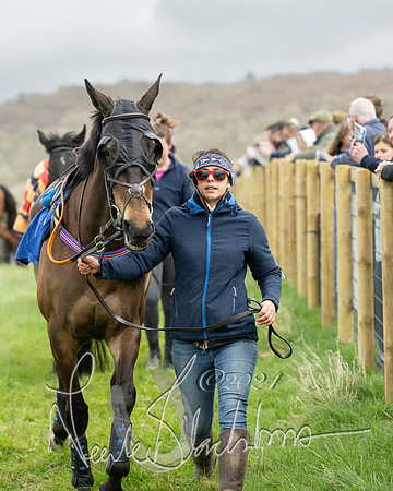 Race 2 - Six and Over Maiden  (10 of 131)