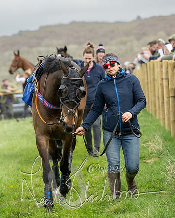 Race 2 - Six and Over Maiden  (8 of 131)