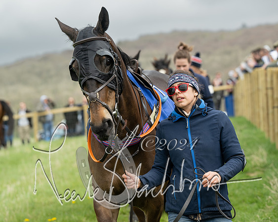 Race 2 - Six and Over Maiden  (11 of 131)