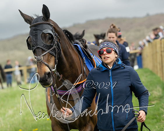 Race 2 - Six and Over Maiden  (12 of 131)
