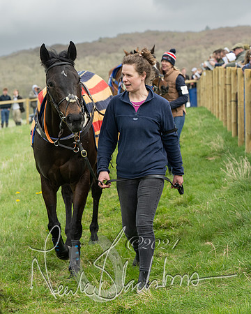 Race 2 - Six and Over Maiden  (13 of 131)