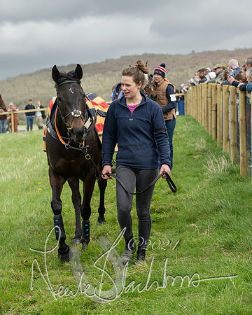 Race 2 - Six and Over Maiden  (14 of 131)