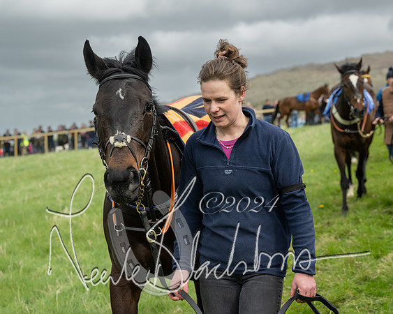 Race 2 - Six and Over Maiden  (16 of 131)