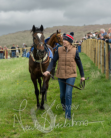 Race 2 - Six and Over Maiden  (17 of 131)