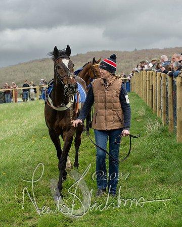 Race 2 - Six and Over Maiden  (18 of 131)
