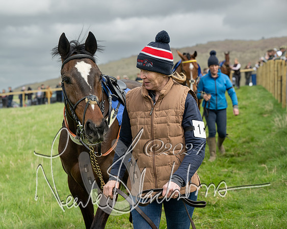Race 2 - Six and Over Maiden  (19 of 131)