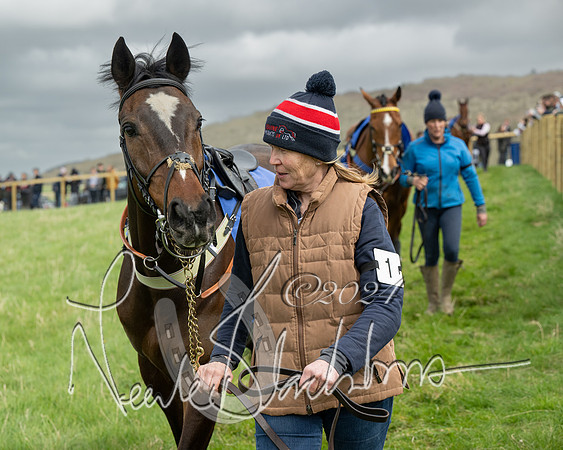 Race 2 - Six and Over Maiden  (20 of 131)