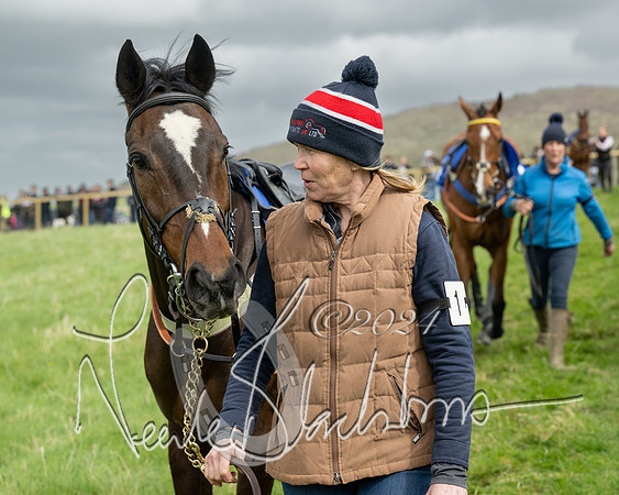 Race 2 - Six and Over Maiden  (21 of 131)