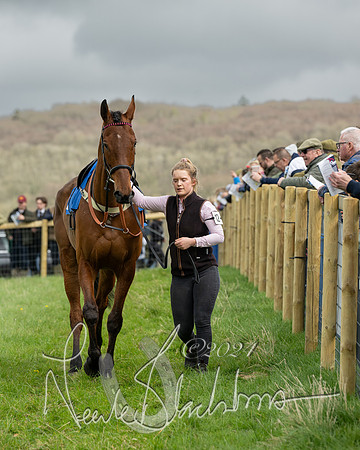 Race 2 - Six and Over Maiden  (25 of 131)