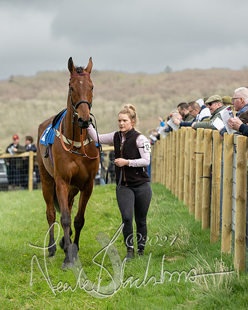 Race 2 - Six and Over Maiden  (26 of 131)