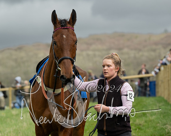 Race 2 - Six and Over Maiden  (28 of 131)