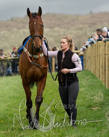 Race 2 - Six and Over Maiden  (27 of 131)