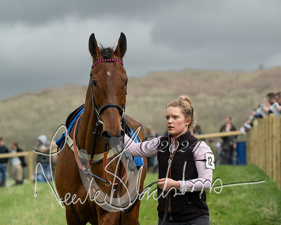 Race 2 - Six and Over Maiden  (29 of 131)