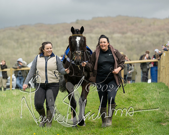 Race 2 - Six and Over Maiden  (30 of 131)