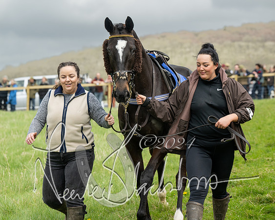 Race 2 - Six and Over Maiden  (34 of 131)
