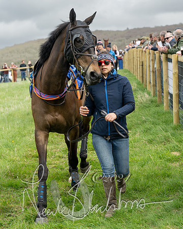 Race 2 - Six and Over Maiden  (35 of 131)