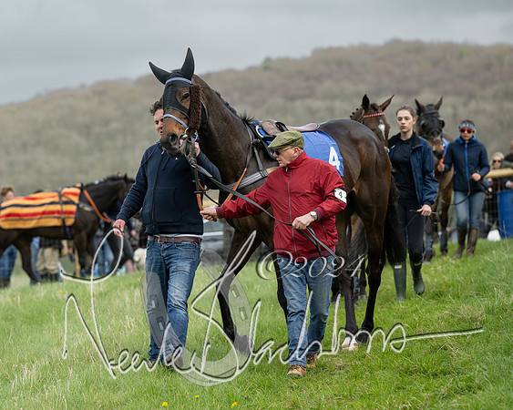 Race 2 - Six and Over Maiden  (38 of 131)