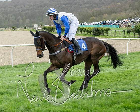 Race 2 - Six and Over Maiden  (40 of 131)