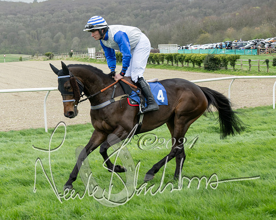 Race 2 - Six and Over Maiden  (41 of 131)