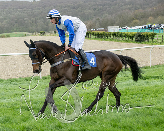 Race 2 - Six and Over Maiden  (42 of 131)