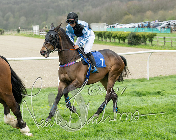Race 2 - Six and Over Maiden  (43 of 131)