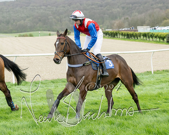Race 2 - Six and Over Maiden  (44 of 131)