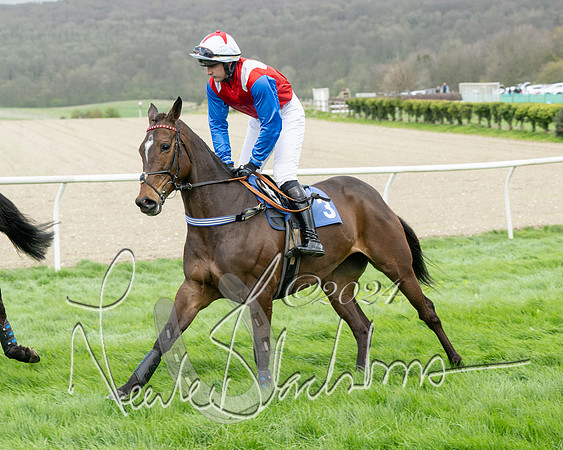 Race 2 - Six and Over Maiden  (45 of 131)