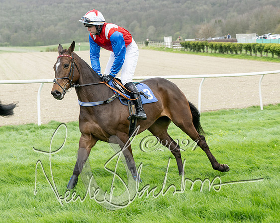 Race 2 - Six and Over Maiden  (46 of 131)