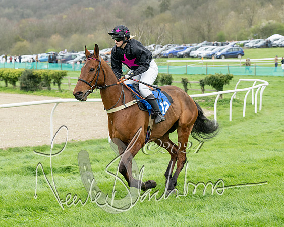 Race 2 - Six and Over Maiden  (47 of 131)