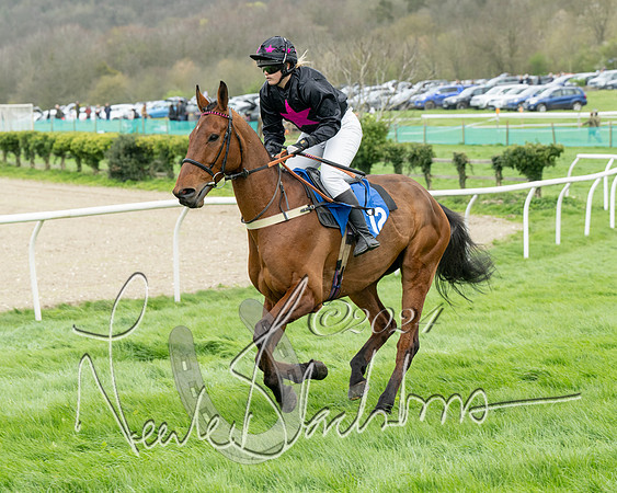 Race 2 - Six and Over Maiden  (48 of 131)