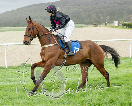 Race 2 - Six and Over Maiden  (49 of 131)