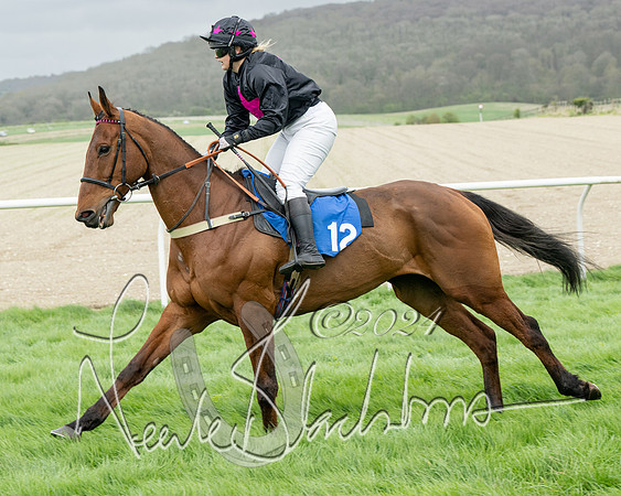 Race 2 - Six and Over Maiden  (50 of 131)