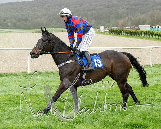 Race 2 - Six and Over Maiden  (51 of 131)