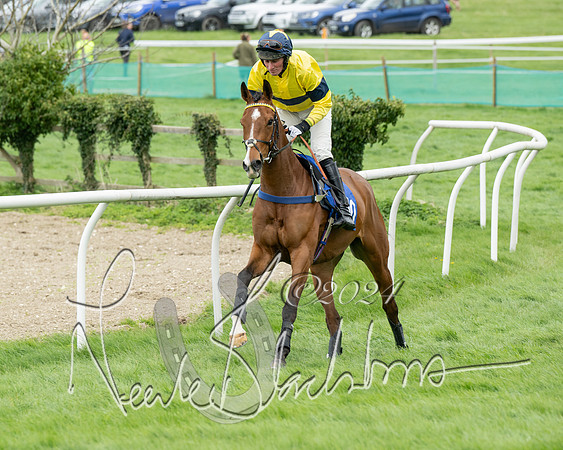 Race 2 - Six and Over Maiden  (54 of 131)