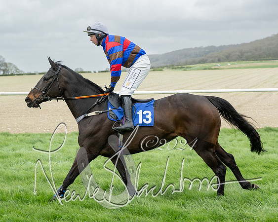 Race 2 - Six and Over Maiden  (53 of 131)