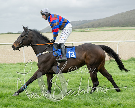 Race 2 - Six and Over Maiden  (52 of 131)