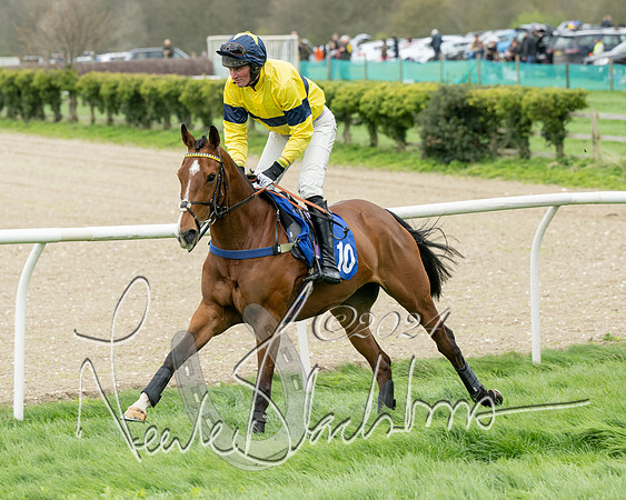 Race 2 - Six and Over Maiden  (55 of 131)