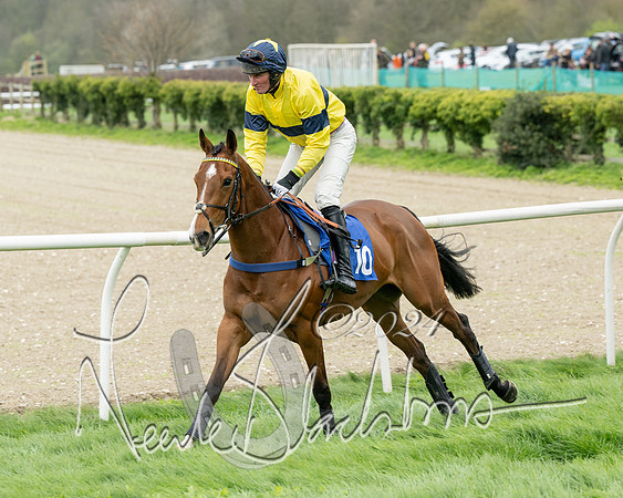 Race 2 - Six and Over Maiden  (56 of 131)