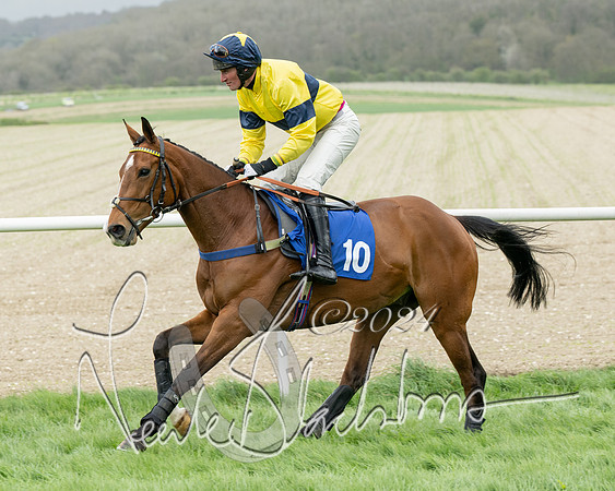 Race 2 - Six and Over Maiden  (57 of 131)