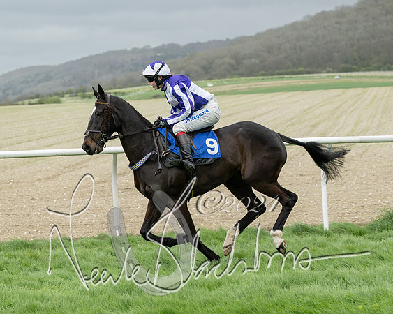 Race 2 - Six and Over Maiden  (59 of 131)