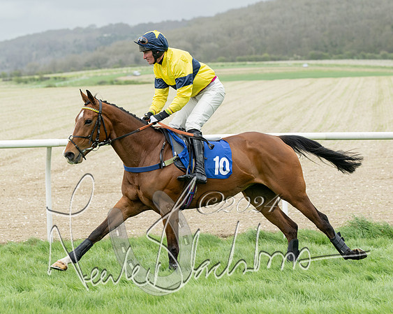 Race 2 - Six and Over Maiden  (58 of 131)