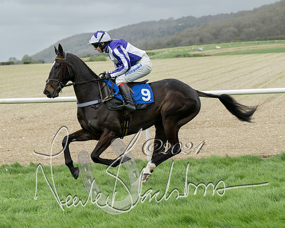 Race 2 - Six and Over Maiden  (60 of 131)