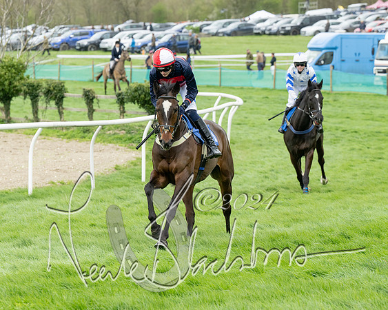 Race 2 - Six and Over Maiden  (63 of 131)