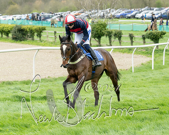 Race 2 - Six and Over Maiden  (64 of 131)