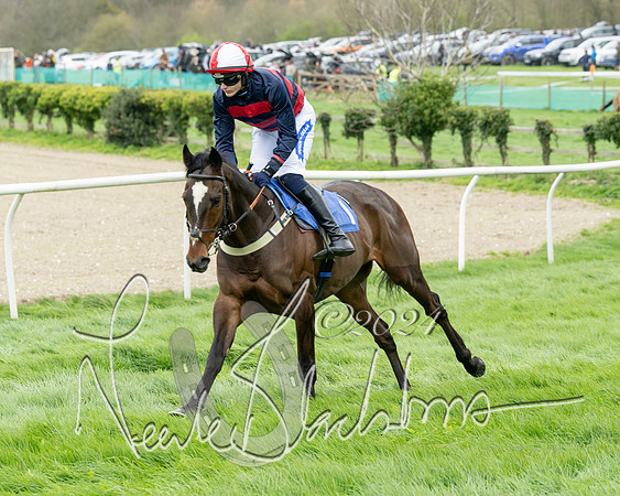 Race 2 - Six and Over Maiden  (65 of 131)