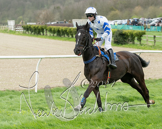 Race 2 - Six and Over Maiden  (67 of 131)